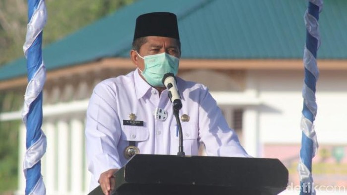 Bupati Siak, Alfedri (Raja Adil/detikcom)
