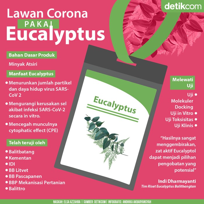 eucalyptus