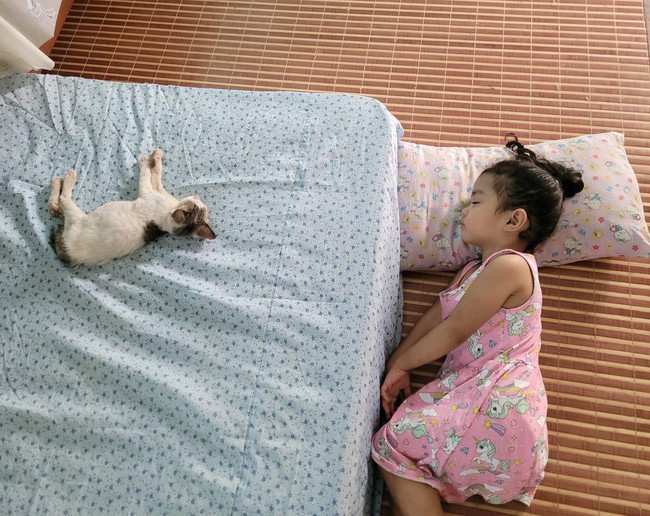 Tak hanya bermain HP bersama, bocah perempuan itu pun melakukan beragam aktivitas bersama si kucing peliharaannya. Seperti yang satu ini. Lucunya, yang tidur di atas kasur justru kucing peliharaannya, bukan sang anak. Foto: Facebook/@pipiandfriend