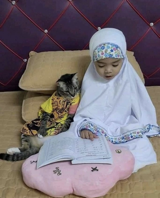 Nah kalau yang satu ini foto saat keduanya tengah asyik belajar mengaji bersama. Si kucing terlihat serius dan antusias banget ya, bikin gemas. Foto: Facebook/@pipiandfriend