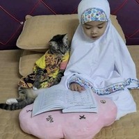 Nah kalau yang satu ini foto saat keduanya tengah asyik belajar mengaji bersama. Si kucing terlihat serius dan antusias banget ya, bikin gemas. Foto: Facebook/@pipiandfriend