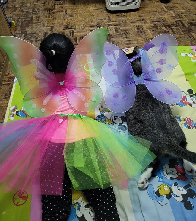 Tak hanya melakukan aktivitas bersama, keduanya pun kompak mengenakan kostum-kostum lucu. Seperti dalam foto ini, keduanya terlihat menggemaskan dengan sayap palsu yang dikenakannya. Foto: Facebook/@pipiandfriend