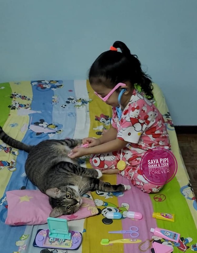 Ini potret saat keduanya sedang bermain dokter-dokteran. Aksi si kucing jadi pasiennya benar-benar bikin gemas. Foto: Facebook/@pipiandfriend