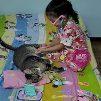 Ini potret saat keduanya sedang bermain dokter-dokteran. Aksi si kucing jadi pasiennya benar-benar bikin gemas. Foto: Facebook/@pipiandfriend