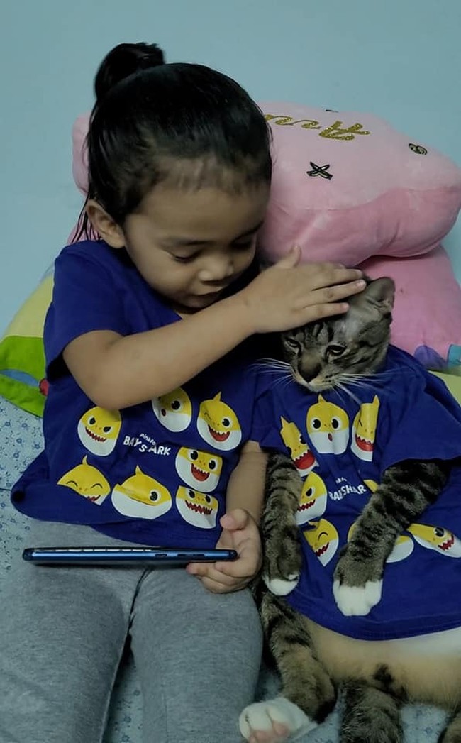 Belakangan ini kisah lucu dari seorang warganet tengah viral di internet. Dia menceritakan bahwa agar sang anak tidak terus bermain hp, dirinya pun membelikan hewan peliharaan berupa kucing. Foto: Facebook/@pipiandfriend