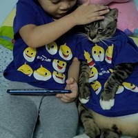 Belakangan ini kisah lucu dari seorang warganet tengah viral di internet. Dia menceritakan bahwa agar sang anak tidak terus bermain hp, dirinya pun membelikan hewan peliharaan berupa kucing. Foto: Facebook/@pipiandfriend