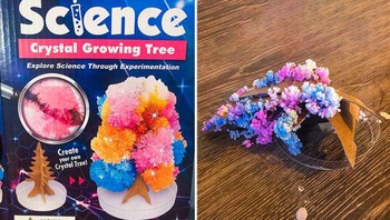 Mestinya ini crystal glowing tree, tapi... Foto: Brightside