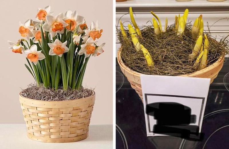 fotoinet olshop tak sesuai harapan