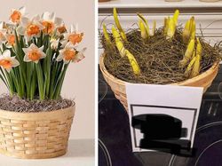 Awas! Tertipu Belanja Online, Barang Tak Sesuai Gambar