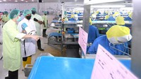 Meski pasar dunia tersebut terbuka lebar, Jokowi menilai bahwa rantai pasok bahan baku baik berupa udang, kepiting, rajungan, cumi, hingga ikan masih perlu ditingkatkan sehingga memberi nilai tambah produk-produk laut tersebut bagi negara.