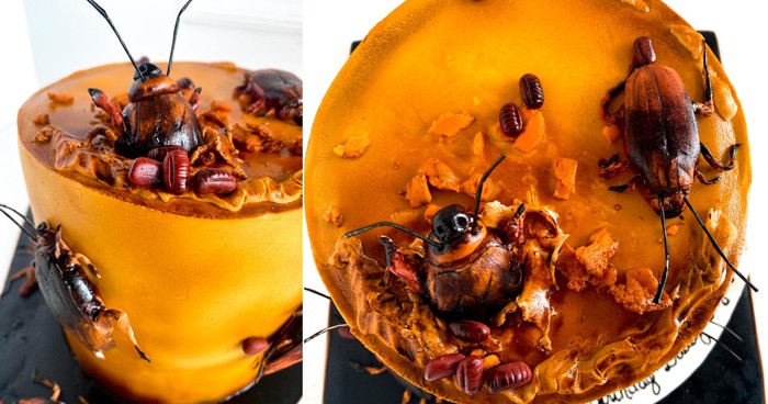 Kue ulang tahun bentuk kecoak Unik! Wanita Ini Beri Kejutan Kue Ultah Bergambar Kecoak untuk Suaminya