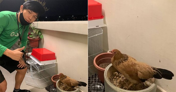 5 Tugas Aneh Pengantar Makanan, Taruh Ayam di Kandang hingga Gambar Dinosaurus! 5 Tugas Aneh Pengantar Makanan, Taruh Ayam di Kandang hingga Gambar Dinosaurus!