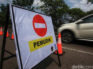 Satgas Menilai Larangan Mudik Menurunkan Mobilitas Masyarakat