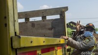 Dengan sigap petugas lantas menaiki truk yang diberhentikannya tersebut untuk memeriksa agar tak ada orang yang turut dibawa dalam truk untuk mengelabuhi petugas.  