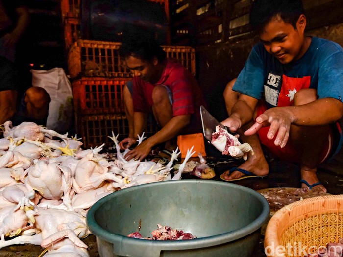 Selain daging sapi, harga daging ayam juga mengalami kenaikan sebelum Idul Fitri. Harga per kilogram kini bisa menyentuh Rp 40 ribu.