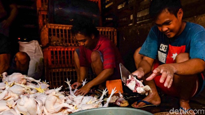 Bun, Harga Daging Ayam Juga Naik Nih Jelang Lebaran Selain daging sapi, harga daging ayam juga mengalami kenaikan sebelum Idul Fitri. Harga per kilogram kini bisa menyentuh Rp 40 ribu.