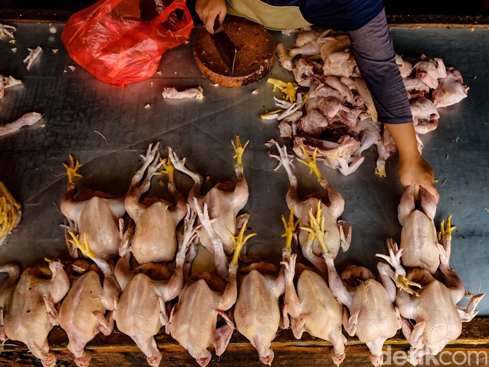 Selain daging sapi, harga daging ayam juga mengalami kenaikan sebelum Idul Fitri. Harga per kilogram kini bisa menyentuh Rp 40 ribu.