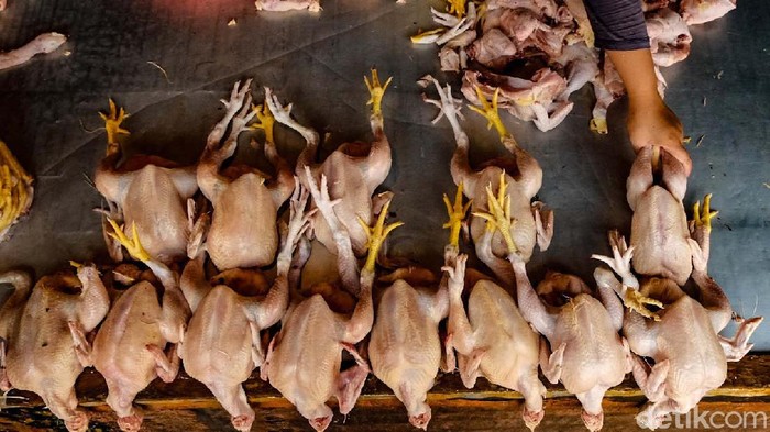 Selain daging sapi, harga daging ayam juga mengalami kenaikan sebelum Idul Fitri. Harga per kilogram kini bisa menyentuh Rp 40 ribu.