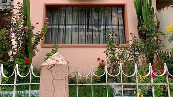 Rumah yang memiliki wajah dan tumbuhan kaktus ini seolah memberikan tanda .. Foto: Boredpanda