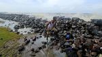 Nyata! Ancaman Abrasi di Pantai Jawa dan Sumatera