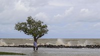 Siang itu angin bertiup begitu kencang, embusan angin menggulung gelombang terlihat menerpa batu yang berada di sekitar bibir pantai.   