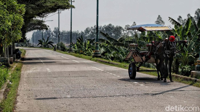Jalur Tikus BKT Rorotan Sepi Pemudik Sampai saat ini jalan alternatif di kawasan BKT Rorotan, Jakarta, masih sepi pemudik. Jalan ini merupakan penghubung ke kawasan Bekasi, Jawa Barat.