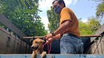 Nasib 67 Anjing yang Gagal Diselundupkan Gegara Penyekatan Pemudik
