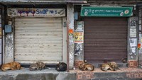Secara total, India sejauh ini mencatat 21,49 juta kasus dengan 234.083 kematian di wilayahnya. Para pakar medis setempat menyatakan bahwa angka sebenarnya di India bisa mencapai lima hingga 10 kali lipat lebih tinggi dari data pemerintah. AP Photo/Ashwini Bhatia  