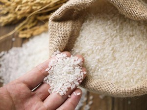 Pengertian Mustahik Zakat dan 8 Golongannya yang Perlu Diketahui