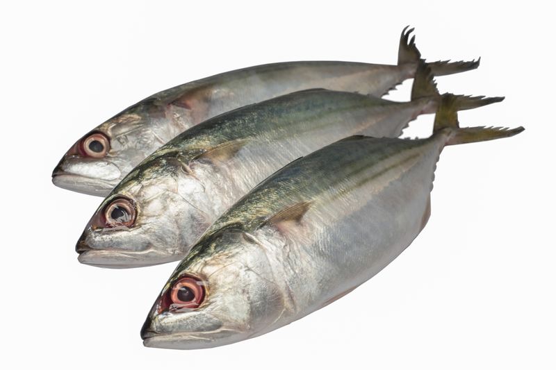 Ikan Kembung Kukus Bumbu Cabe Ikan Kembung Kukus Bumbu Cabe
