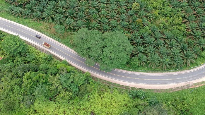 JALINSUM JAMBI-RIAU SEPI Kendaraan melintas di Jalan Lintas Timur Sumatera, Sekernan, Muarojambi, Jambi, Sabtu (8/5/2021). Pada hari ketiga pemberlakuan larangan mudik Lebaran 2021, lalu lintas kendaraan pribadi di jalan penghubung Provinsi Jambi dengan Riau tersebut terpantau sepi dan hanya didominasi kendaraan angkutan barang. ANTARA FOTO/Wahdi Septiawan/rwa.