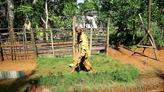 Kakek di Sulawesi Selatan membangun rumah bawah tanah menggunakan cangkul Kakek di Sulawesi Selatan membangun rumah bawah tanah menggunakan cangkul