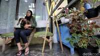 Selain king cobra, Icha ternyata juga memelihara reptil lain baik yang berbisa maupun tidak, yakni kobra dan piton (sanca). 