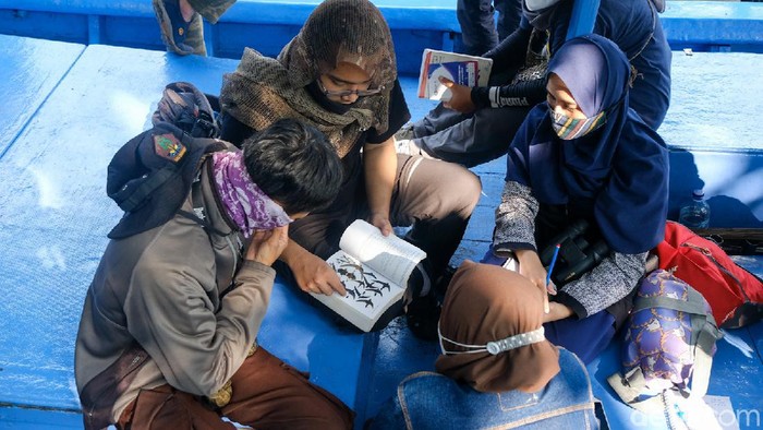 Pengamatan burung digelar dalam memperingati Hari Burung Migrasi Sedunia. Pengamatan dilakukan di Hutan Lindung Angke Kapuk Jakarta. Yuk, intip hasil pengamatanya.