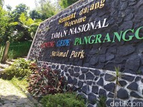 Penutupan Pendakian Gunung Gede Pangrango Diperpanjang Imbas Karhutla