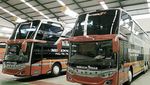 Melihat Lebih Dekat Bus Tingkat Terbaru PO Rosalia Indah