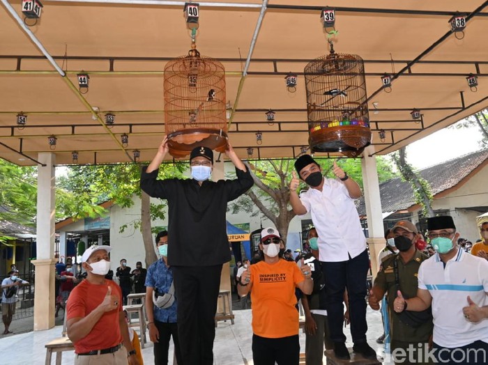 Setelah libur panjang karena pandemi, lomba burung Kota Pasuruan akhirnya digelar. Pemkot Pasuruan mengizinkan event yang ditunggu-tunggu pencinta burung itu, dengan syarat menerapkan protokol kesehatan ketat.