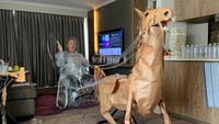 Sepanjang hidupnya, Marriott memang menghabiskan waktu untuk menciptakan properti untuk pertunjukan. Dia sudah puluhan tahun berkecimpung di industri kreatif. Saat ini, dia bekerja sebagai Art Director untuk perusahaan pembuat iklan TV. (AP)
