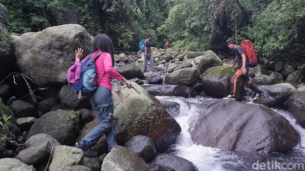 Tim harus melewati medan yang terjal berbatu, memanjat dan melintasi aliran air. Dalam perjalanannya, hutan yang rapat dan air terjun menjadi pemandangan yang luar biasa. Tim harus melewati medan yang terjal berbatu, memanjat dan melintasi aliran air. Dalam perjalanannya, hutan yang rapat dan air terjun menjadi pemandangan yang luar biasa.