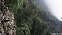 Dari Lembah Sukhoi ini terlihat jelas tebing Gunung Salak yang dihantam pesawat Sukhoi Superjet 100.