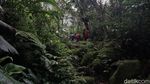 Setapak Menelusuri Gunung Salak ke Lembah Sukhoi