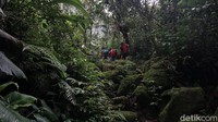 Gunung Salak merupakan gunung yang mempunyai beberapa puncak. Punggungan-punggungan curam dan tipis yang membentuk sadel menjadi penghubung antara puncak-puncaknya tersebut. 