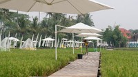 Ada tiga hal yang dikembangkan di objek wisata Svarga Bumi. Pertama, sawah sebagai produksi ketahanan pangan. Yang kedua, ekonomi kreatif dengan UMKM yang ada dan ketiga sebagai destinasi wisata. (Anis Efizudin/Antara)