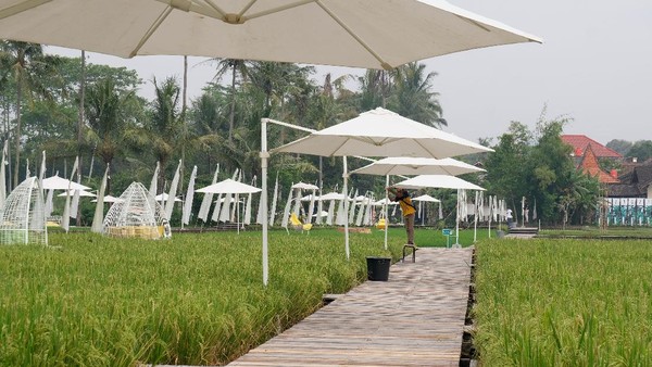 Ada tiga hal yang dikembangkan di objek wisata Svarga Bumi. Pertama, sawah sebagai produksi ketahanan pangan. Yang kedua, ekonomi kreatif dengan UMKM yang ada dan ketiga sebagai destinasi wisata. (Anis Efizudin/Antara) Ada tiga hal yang dikembangkan di objek wisata Svarga Bumi. Pertama, sawah sebagai produksi ketahanan pangan. Yang kedua, ekonomi kreatif dengan UMKM yang ada dan ketiga sebagai destinasi wisata. (Anis Efizudin/Antara)