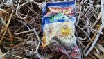 Embun Es Kembali Selimuti Dataran Tinggi Dieng