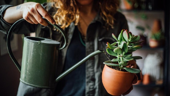 Woman watering flowers