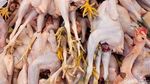 Harga Daging Ayam dan Sapi Makin Mahal