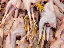 Harga Ayam di Pasar Ikut Anjlok Jadi Rp 35.000/Kg, Ini Biang Keroknya