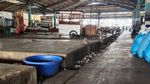 Sumpah, Pasar Ikan Muara Baru Tempo Doeloe vs Kini Beda Banget!