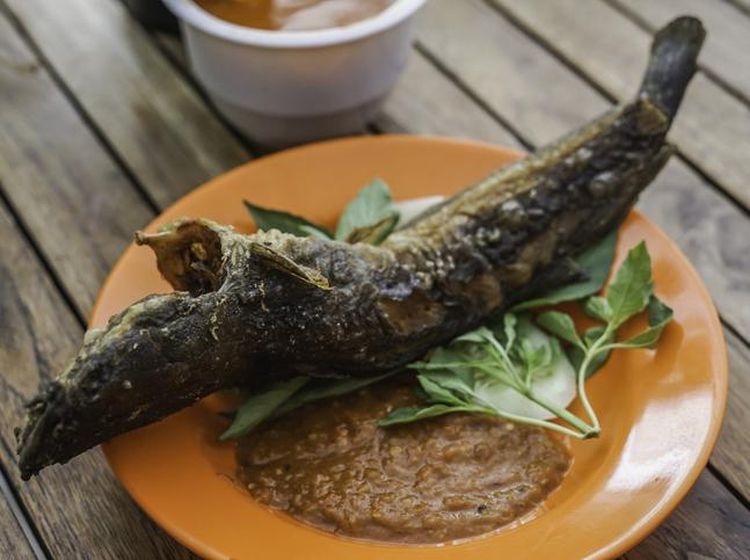 20 Pecel Lele Lamongan Ada di Sini